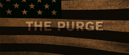 american flag the purge